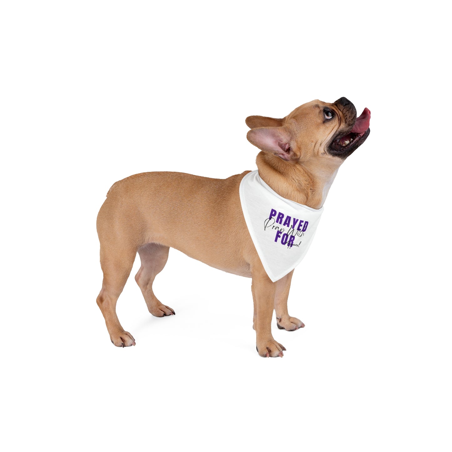 Brand Logo Pet Bandana